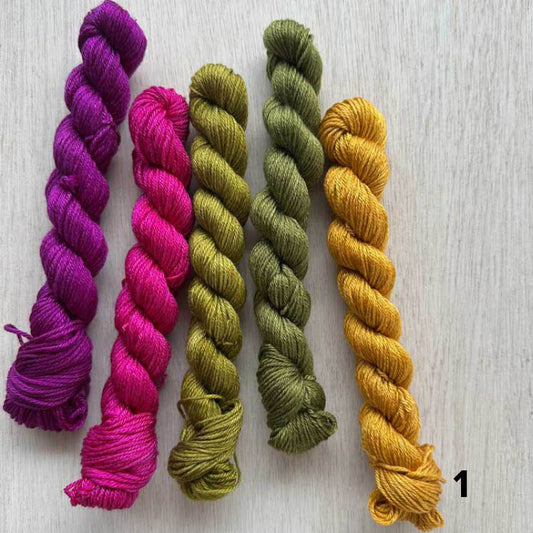 KASHI -  Bundle of Mini Skeins